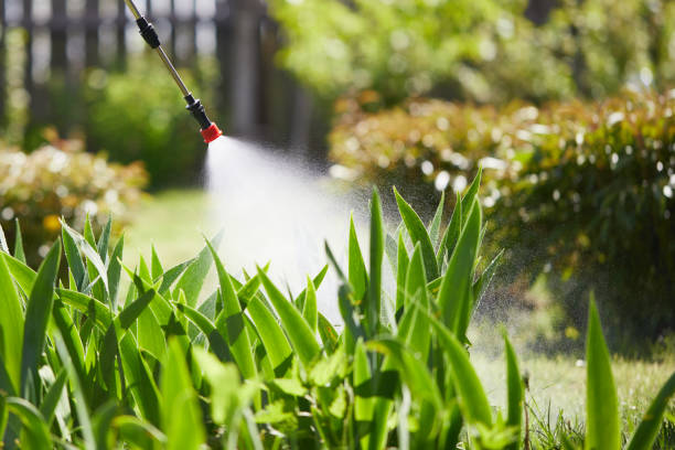 Tamper-Resistant Bait Stations for Rodents in Buffalo Grove