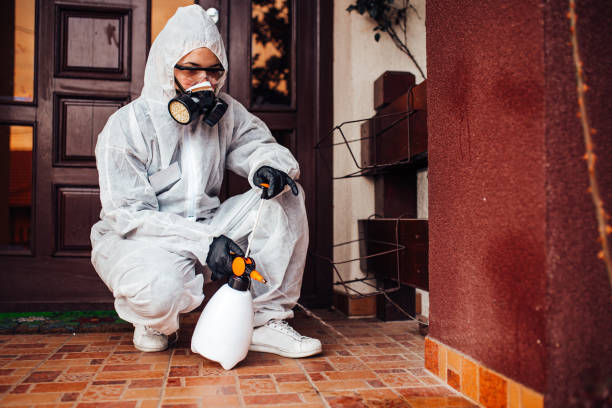 Attic and Crawl Space Rodent Treatment in Buffalo Grove