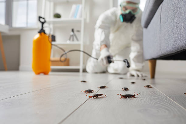 Commercial Rodent Management in Buffalo Grove